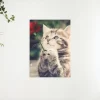 Schilderen op nummer – Poesje met Roos – SEOS Shop ®