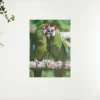 Schilderen op nummer – Twee papegaaien – SEOS Shop ®