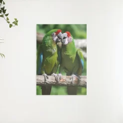 Schilderen op nummer – Twee papegaaien – SEOS Shop ®