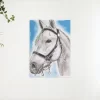 Schilderen op nummer – Wit paard – SEOS Shop ®