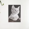 Schilderen op nummer – Witte kat – SEOS Shop ®