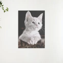 Schilderen op nummer – Witte kat – SEOS Shop ®