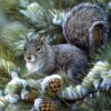 Schilderen op nummer – Winter Schattige Eekhoorn – SEOS Shop ®