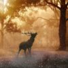 Schilderen op nummer – Hert in het bos – SEOS Shop ®
