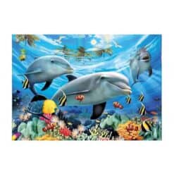 Schilderen op nummer – Dolfijnenwereld – SEOS Shop ®