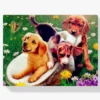 Schilderen op nummer – Honden en bloemen – SEOS Shop ®