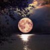 Schilderen op nummer – Volle Maan – SEOS Shop ®