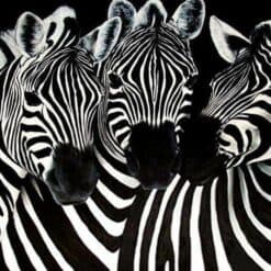 Schilderen op nummer – Lieve Zebra’s – SEOS Shop ®