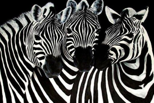 Schilderen op nummer – Lieve Zebra’s – SEOS Shop ®