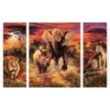 Schilderen op nummer – Dieren op safari 3 luik – SEOS Shop ®