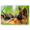 Schilderen op nummer – Duitse herder met kittens – SEOS Shop ®