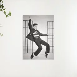 Schilderen op nummer – Elvis Presley dansend – SEOS Shop ®