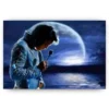 Schilderen op nummer – Elvis Presley in de avond – SEOS Shop ®