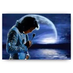 Schilderen op nummer – Elvis Presley in de avond – SEOS Shop ®