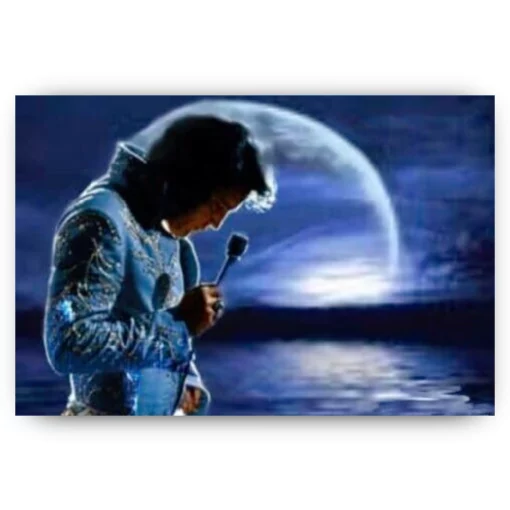 Schilderen op nummer – Elvis Presley in de avond – SEOS Shop ®