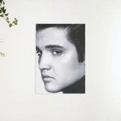 Schilderen op nummer – Elvis Presley in zwart wit – SEOS Shop ®
