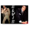 Schilderen op nummer – Elvis Presley twee fases – SEOS Shop ®