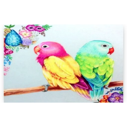 Schilderen op nummer – Gekleurde Papegaaien – SEOS Shop ®