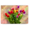 Schilderen op nummer – Gekleurde tulpen – SEOS Shop ®