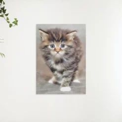 Schilderen op nummer – Harige kitten – SEOS Shop ®