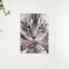 Schilderen op nummer – Kat likt hand – SEOS Shop ®