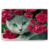 Schilderen op nummer – Kat met bloemen – SEOS Shop ®