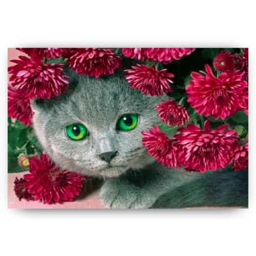 Schilderen op nummer – Kat met bloemen – SEOS Shop ®