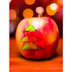 Schilderen op nummer – Kerst appel boom – SEOS Shop ®