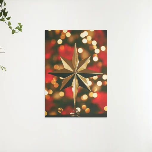 Schilderen op nummer – Kerst ster – SEOS Shop ®