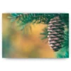 Schilderen op nummer – Kerstboom versiering Dennenappel – SEOS Shop ®
