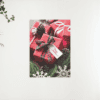 Schilderen op nummer – Kerstcadeau met Merry Christmas – SEOS Shop ®