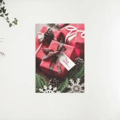 Schilderen op nummer – Kerstcadeau met Merry Christmas – SEOS Shop ®
