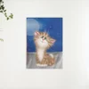 Schilderen op nummer – Kitten bij Schoorsteen – SEOS Shop ®