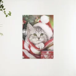 Schilderen op nummer – Kitten met kerstmuts – SEOS Shop ®