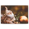 Schilderen op nummer – Kleine Kerstman met kerstbal – SEOS Shop ®