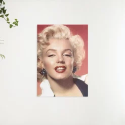 Schilderen op nummer – Marilyn Monroe lachend – SEOS Shop ®