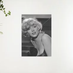 Schilderen op nummer – Marilyn Monroe portret zwart wit – SEOS Shop ®
