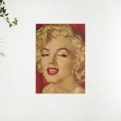 Schilderen op nummer – Marilyn Monroe portret – SEOS Shop ®