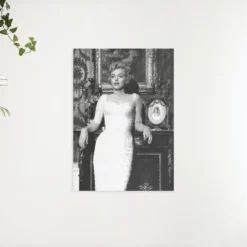 Schilderen op nummer – Marilyn Monroe staand portret – SEOS Shop ®