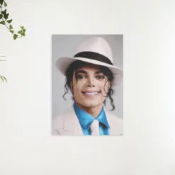 Schilderen op nummer – Michael Jackson portret – SEOS Shop ®