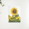 Schilderen op nummer – Mooi zonnebloem – SEOS Shop ®