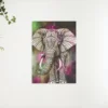Schilderen op nummer – Olifant Groen Roze – SEOS Shop ®