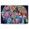 Schilderen op nummer – Olifant Kunst – SEOS Shop ®