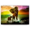 Schilderen op nummer – Olifant met kalfje – SEOS Shop ®