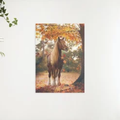 Schilderen op nummer – Paard onder boom – SEOS Shop ®