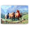 Schilderen op nummer – Paarden in een veld – SEOS Shop ®
