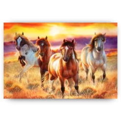 Schilderen op nummer – Paarden met rode gloed – SEOS Shop ®