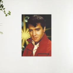Schilderen op nummer – Portret Elvis Presley – SEOS Shop ®