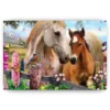 Schilderen op nummer – Prachtige Paarden – SEOS Shop ®