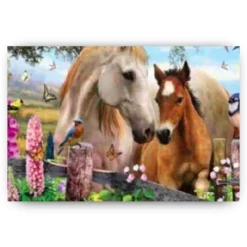 Schilderen op nummer – Prachtige Paarden – SEOS Shop ®